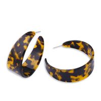 New Fashion Acetate Plate Creative Geometric Pentagram Leopard Earrings Wholesale sku image 5