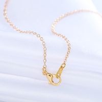 Marine Life Scallop Conch Shell Pendant Necklace Gold And Silver Female Clavicle Chain Wholesale main image 4