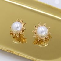 New Alloy Coin Earrings With Round Deer Head Pattern Earrings Wholesale main image 4