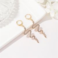 New Fashion Creative Snake-shaped Earrings Long Diamond Earrings Simple Wave Earrings Wholesale main image 3