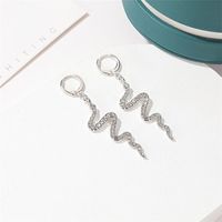 New Fashion Creative Snake-shaped Earrings Long Diamond Earrings Simple Wave Earrings Wholesale main image 4