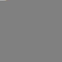 Croix-frontière Vendu Bijoux Micro-incrusté Poissons Oreille Anneau Animal Zircon Boucles D'oreilles Boucles D'oreilles Perle Délicat-ensemble Diamant Boucles D'oreilles Petite Oreille Goujons main image 5