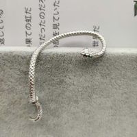 New Fashion Snake Earrings Exaggerated Single Ear Clip Wholesale main image 4
