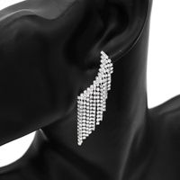 Europäische Und Amerikanische Neue Elegante Ohrringe Frauen Übertriebene Persönlichkeit Schmetterlings Flügel Quaste Ohrringe Promi-stil High-end-temperament Ohrringe main image 1