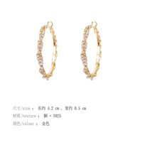 New Fashion Circle Metal Earrings Wholesale Nihaojewelry main image 3