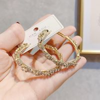 New Fashion Circle Metal Earrings Wholesale Nihaojewelry main image 5