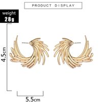 New Fashion Alloy Earrings Simple Style Wing Earrings Geometric Irregular Earrings main image 6