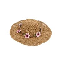 New Summer Foldable Straw Hats For Women On The Beach main image 6