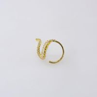 El Nuevo Anillo Curvado De Cristal De Circón Micro-set Para Mujeres Al Por Mayor main image 4