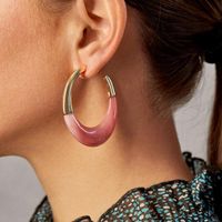 2020 Europäische Und Amerikanische Mode Acryl C-förmige Große Ohrringe Grenz Überschreitende Neue Produkte Ohrringe Koreanische Trend Ige Ohrringe main image 1