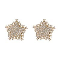 New Exaggerated Stud Earrings Star Diamond Earrings For Women Wholesale sku image 1
