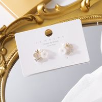 Korean Fashion  Sweet Temperament 925 Silver Needle Shell Flower Earrings Micro-set Zircon Flower  V-shaped Copper Earrings  Wholesale main image 3