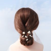 Mode Nouvelle Perle Irrégulière En Épingle À Cheveux Ensemble Coréenne Douce Simple Pince À Cheveux En Gros main image 3