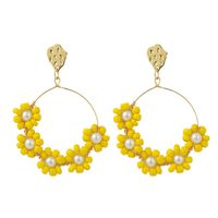 Korean Flowers Handmade Beads Earrings Female  Geometric Woven Acrylic Earrings Jewelry Nihaojewelry Wholesale sku image 1