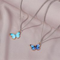 Summer New Product Gradient Butterfly Necklace Couple Clavicle Chain Butterfly Bracelet Wholesale main image 4