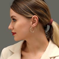 Grenz Überschreitende Neue Ohrringe Temperament Geschnitzte Fünfeckige Ohrringe Netz Rote Kreative Einfache Hohle Geometrische Ohrringe Frauen main image 1
