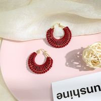 Creative Design Hand-woven Line Earrings Temperament Net Red Earrings Simple Wild Geometric Earrings Wholesale main image 4