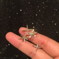 Golden Octagonal Earrings Sweet Ladylike Temperament Simple And Small Super Fairy S925 Silver Needle Rice Star Earrings main image 6
