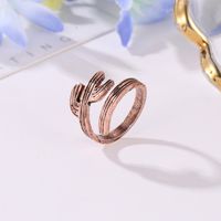 Explosion Models Ring Finger Ring Jewelry Personality Opening Ring Cactus Ring Unisex Ring Wholesale main image 5