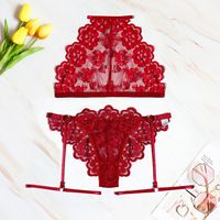 Fashion New Sexy Red  Lingerie  Three-dimensional Embroidery Lace Perspective Temptation Bra Hanging Neck Sexy Suit Wholesale main image 1
