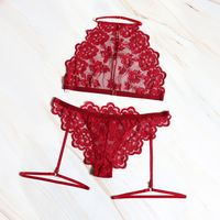 Fashion New Sexy Red  Lingerie  Three-dimensional Embroidery Lace Perspective Temptation Bra Hanging Neck Sexy Suit Wholesale main image 6