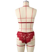 Fashion New Sexy Red  Lingerie  Three-dimensional Embroidery Lace Perspective Temptation Bra Hanging Neck Sexy Suit Wholesale main image 3