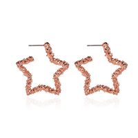 New Earrings Opening Five-pointed Star Earrings Female Metal Carved Stars Hollow Earrings Wholesale Nihaojewelry main image 1