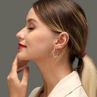 New Earrings Opening Five-pointed Star Earrings Female Metal Carved Stars Hollow Earrings Wholesale Nihaojewelry main image 6