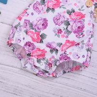 Children's Wear Infant Leisure Trend Cute Little Floral Triangle Hawaii Turban Two-piece Girl Explosion Wholesale Nihaojewelry main image 5