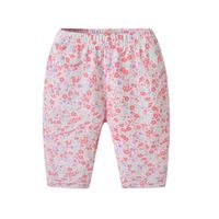 Summer Pants Baby New Baby Girl Baby Suit Fresh Small Floral Casual Comfortable Pants Wholesale Nihaojewelry sku image 11