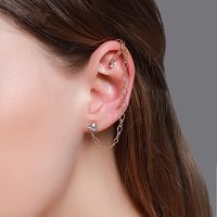 Europäische Und Amerikanische Neue Produkte Ohrringe, Persönlichkeit, Einfache Ohrringe, Ohrringe, Integrierte Ohrringe, Kaltes Temperament, Lange Ohrringe main image 2