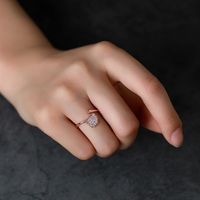 Temperament Ginkgo Leaf Ring Female Trend Light Luxury Simple Ladies Single Ring Cold Wind Open Index Finger Ring Wholesale Nihaojewelry main image 3