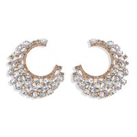 Meniscus Diamond Earrings Nihaojewelry Wholesale Fashion Earrings Catwalk Jewelry Exaggerated Earrings sku image 1