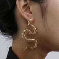 Twisted Geometric Hip Hop Earrings Nihaojewelry Wholesale Exaggerated Serpentine Fashion Relief Long Earrings main image 3