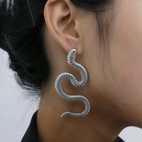 Twisted Geometric Hip Hop Earrings Nihaojewelry Wholesale Exaggerated Serpentine Fashion Relief Long Earrings main image 4