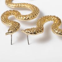 Twisted Geometric Hip Hop Earrings Nihaojewelry Wholesale Exaggerated Serpentine Fashion Relief Long Earrings main image 5