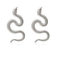 Twisted Geometric Hip Hop Earrings Nihaojewelry Wholesale Exaggerated Serpentine Fashion Relief Long Earrings main image 6