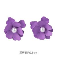 Fashion 925 Silver Needle Earrings Yiwu Nihaojewelry Wholesale New Purple Simple Earrings Korean Flower Earrings sku image 6