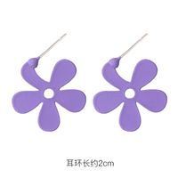 Fashion 925 Silver Needle Earrings Yiwu Nihaojewelry Wholesale New Purple Simple Earrings Korean Flower Earrings sku image 5