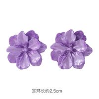 Fashion 925 Silver Needle Earrings Yiwu Nihaojewelry Wholesale New Purple Simple Earrings Korean Flower Earrings sku image 12
