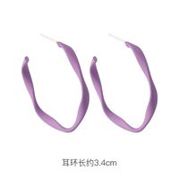 Fashion 925 Silver Needle Earrings Yiwu Nihaojewelry Wholesale New Purple Simple Earrings Korean Flower Earrings sku image 15