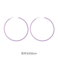 Fashion 925 Silver Needle Earrings Yiwu Nihaojewelry Wholesale New Purple Simple Earrings Korean Flower Earrings sku image 11