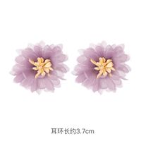 Fashion 925 Silver Needle Earrings Yiwu Nihaojewelry Wholesale New Purple Simple Earrings Korean Flower Earrings sku image 26