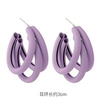 Fashion 925 Silver Needle Earrings Yiwu Nihaojewelry Wholesale New Purple Simple Earrings Korean Flower Earrings sku image 17