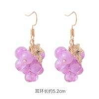 Fashion 925 Silver Needle Earrings Yiwu Nihaojewelry Wholesale New Purple Simple Earrings Korean Flower Earrings sku image 28