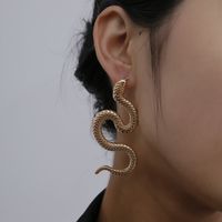 Twisted Geometric Hip Hop Earrings Nihaojewelry Wholesale Exaggerated Serpentine Fashion Relief Long Earrings sku image 1