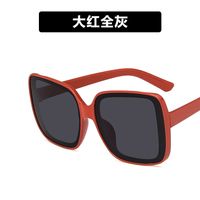 Simple Style Women's Sunglasses sku image 7