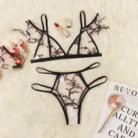 Erotic Underwear Set Three-point Embroidery Perspective Bra Multicolor Backless Hollow Lace Underwear Wholesale Nihaojewelry main image 1
