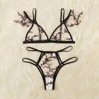 Erotic Underwear Set Three-point Embroidery Perspective Bra Multicolor Backless Hollow Lace Underwear Wholesale Nihaojewelry main image 6