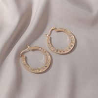 Fashion Style Simple Earrings Classical Exaggerated Hollow Large Circle Earrings Ear Buckle Explosion Accessories Wholesale Nihaojewelry main image 6